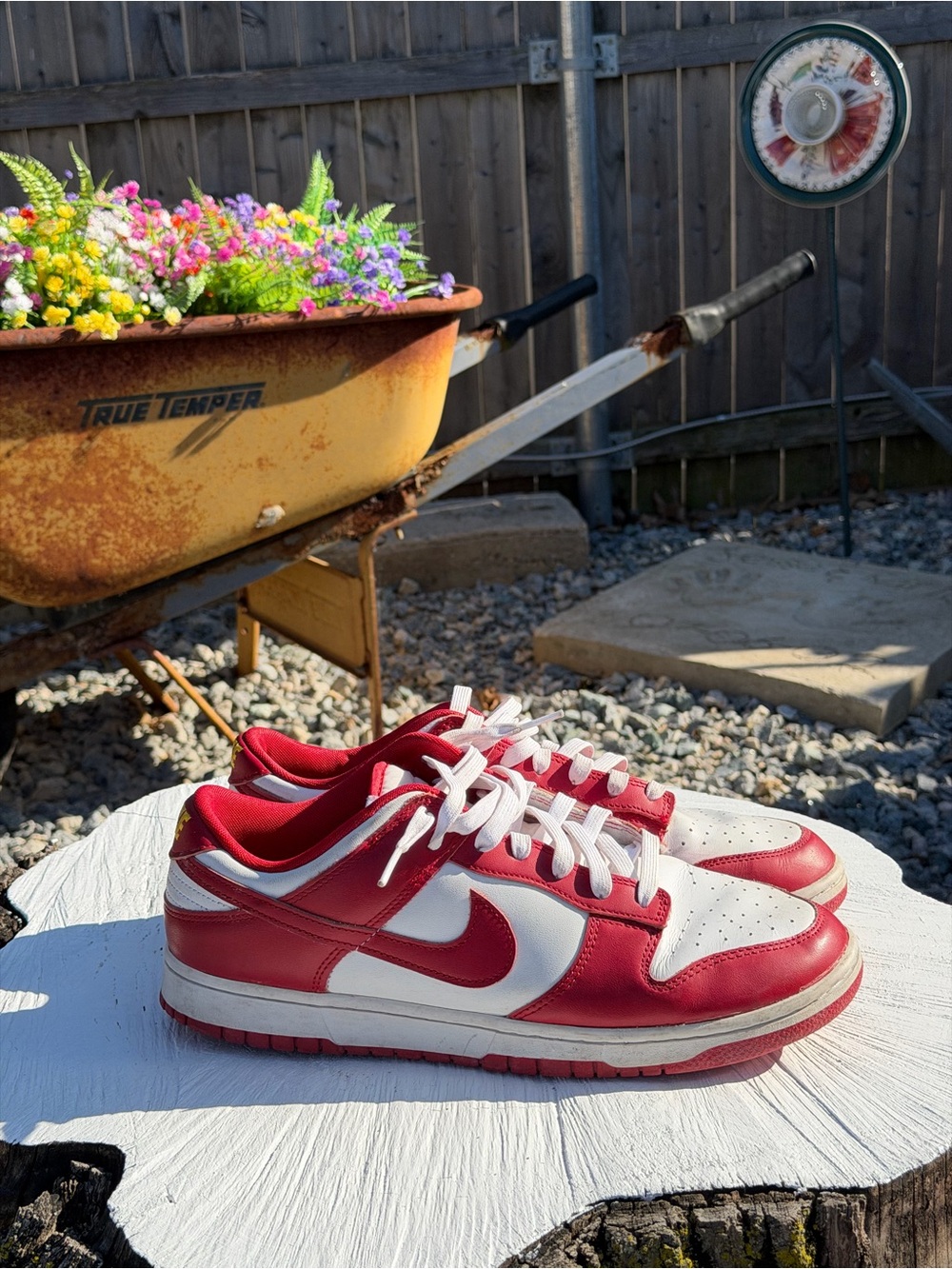 Nike dunk red